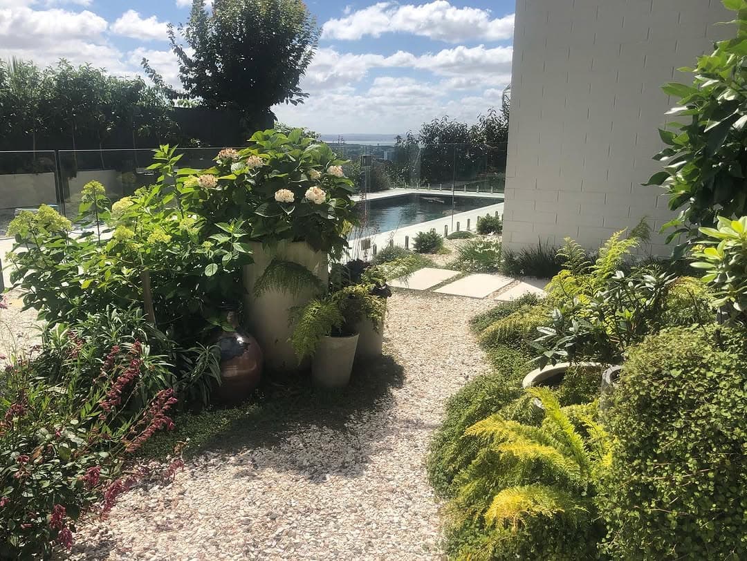 Garden with pool and Auckland harbour views