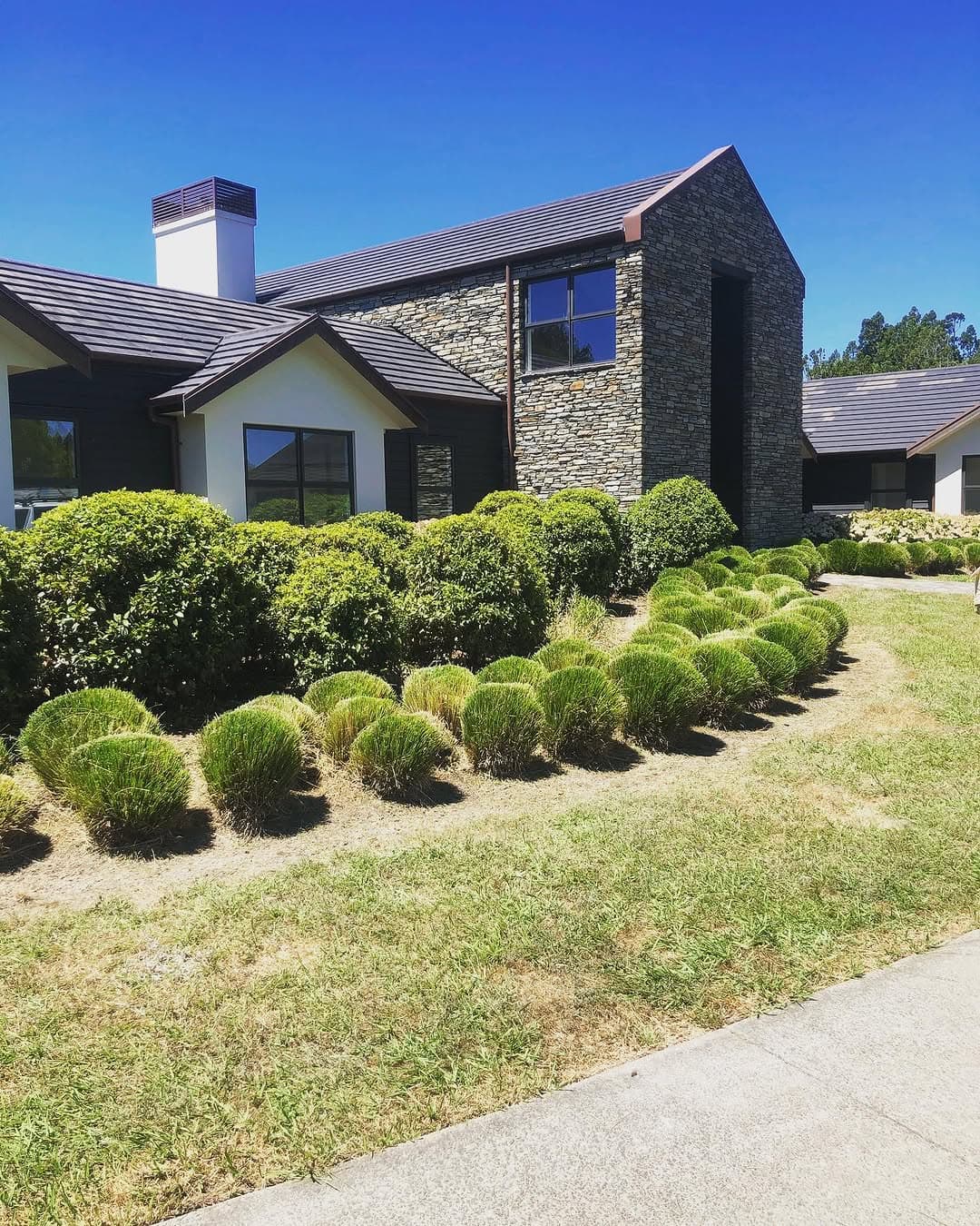 Modern home with ornamental grass border