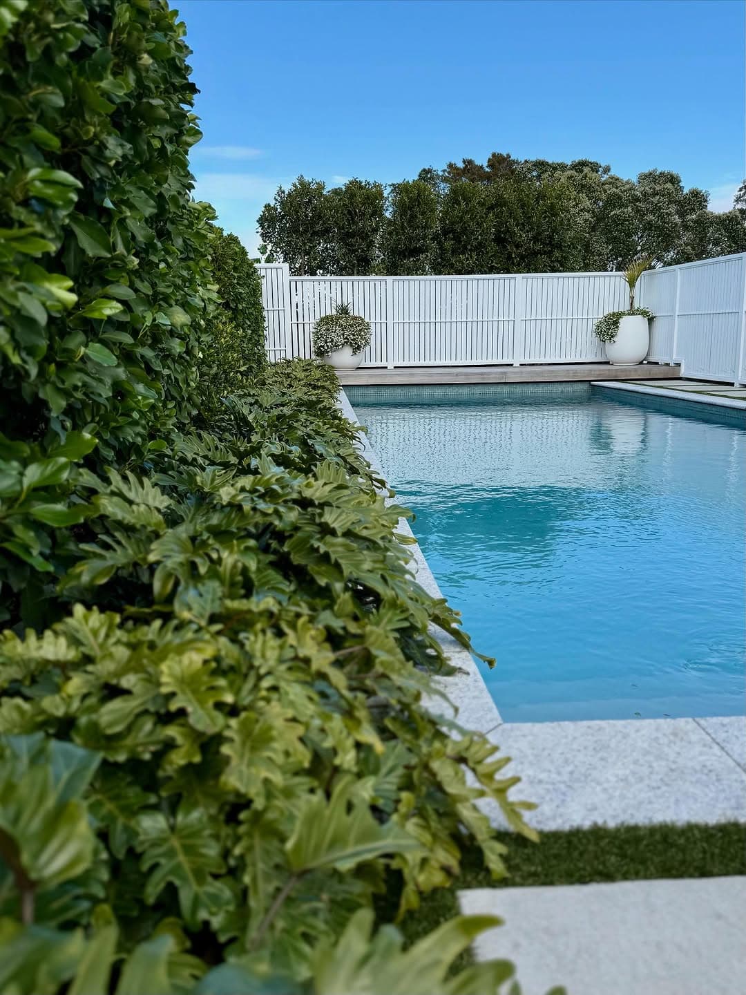 Pool landscaping