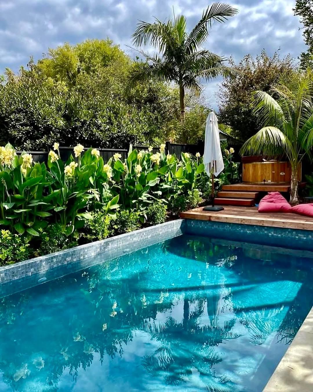 Pool with tropical planting and decking