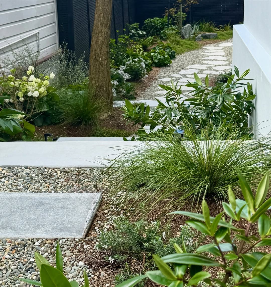 Garden pathway with mixed planting