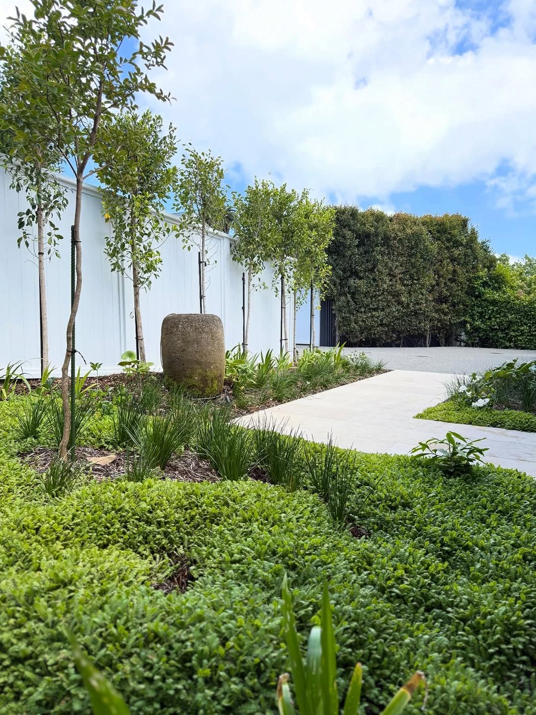Modern garden planting