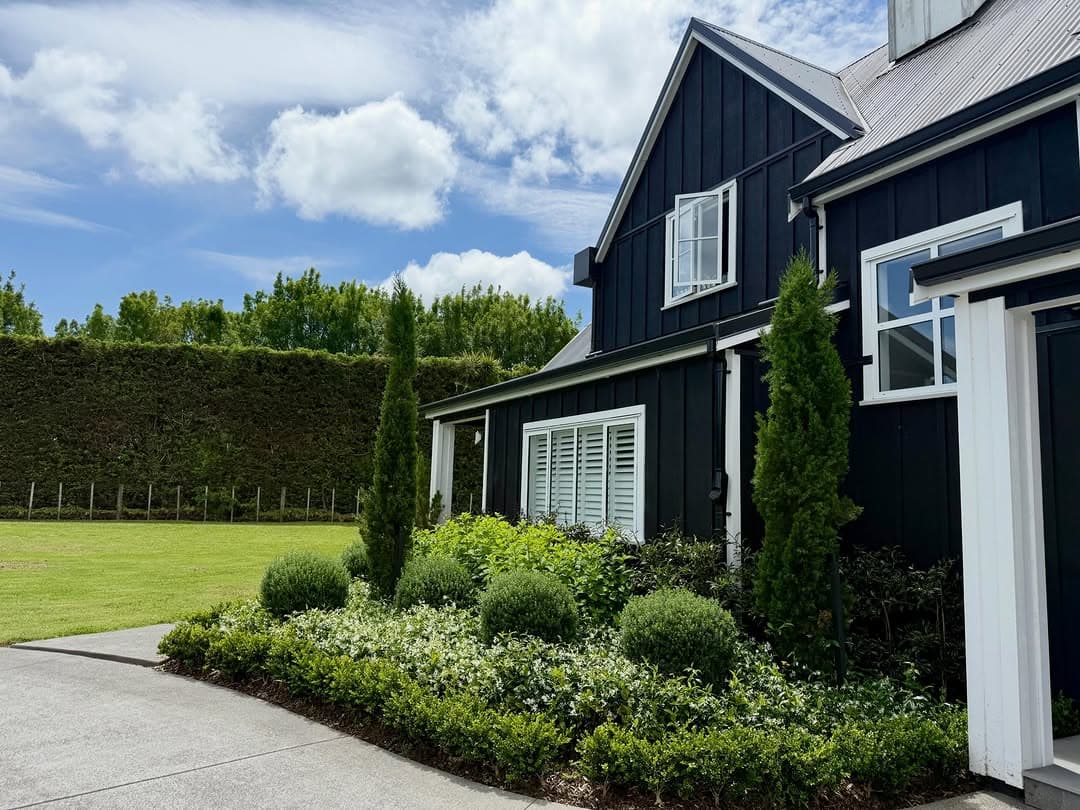 Contemporary garden